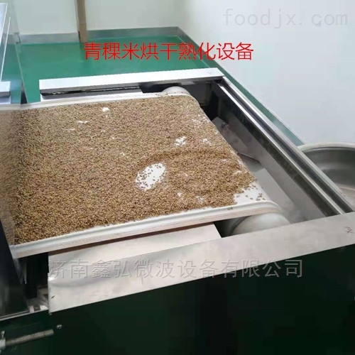 青稞米微波熟化设备 隧道式微波烘干熟化机