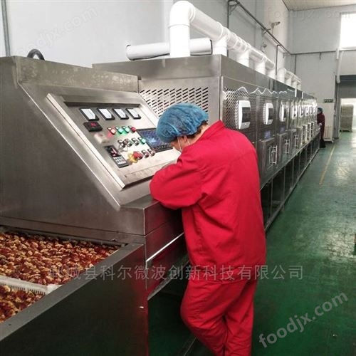 坚果微波烘干杀菌设备 大枣灭活杀虫卵机
