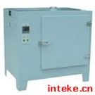 Y101A型系列電熱鼓風(fēng)烘箱