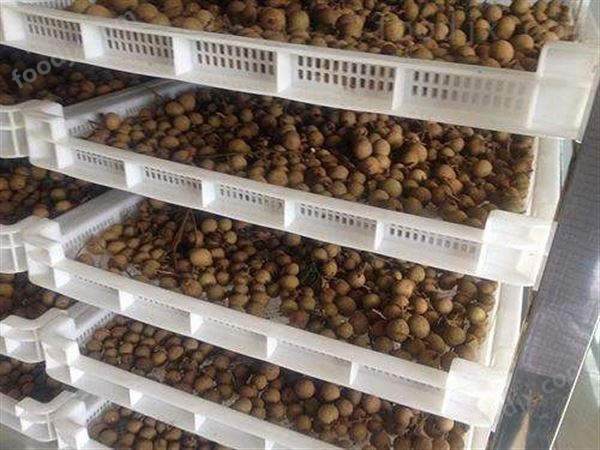 龙眼肉烘干机图片