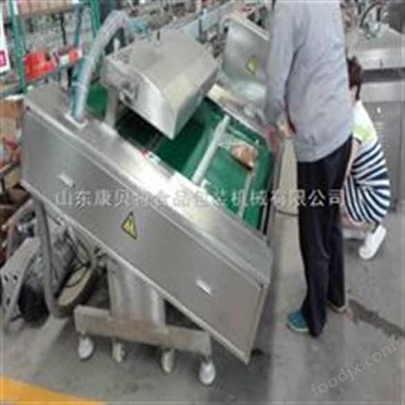 豆制品包裝機(jī) 全自動(dòng)豆干滾動(dòng)真空包裝設(shè)備