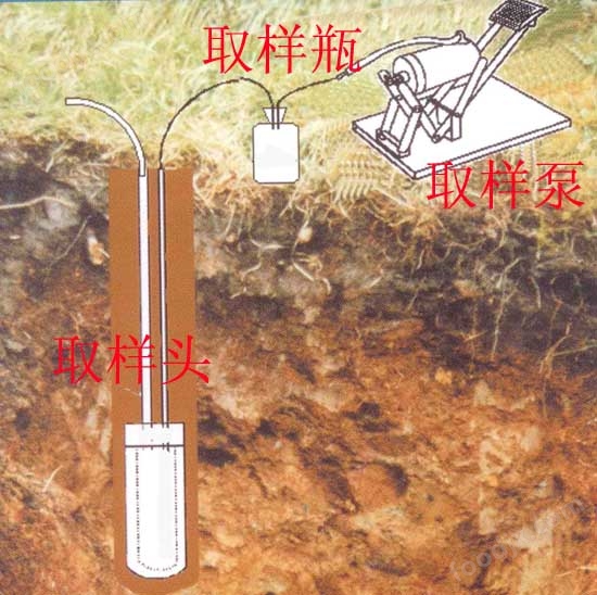 土壤溶液取樣器