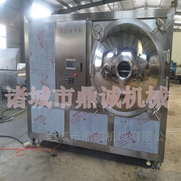 草莓冷凍干燥機